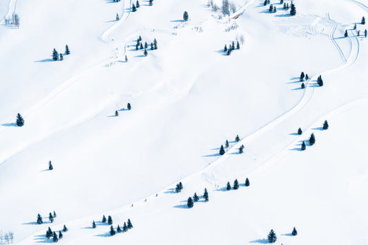 Product image for Cross Country Skiers, Jackson Hole