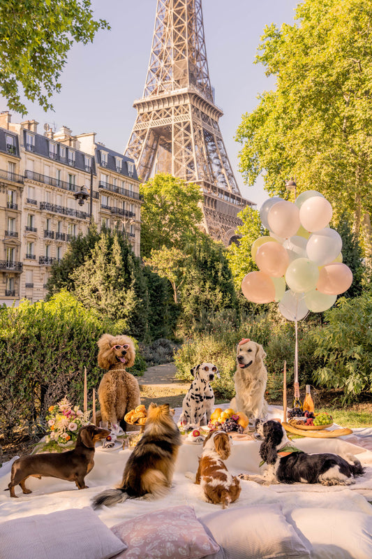 Product image for Eiffel Tower Picnic Party, Paris