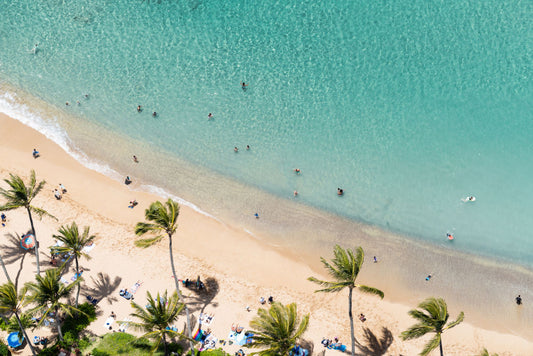 Product image for Ka’anapali Beach Palm Trees, Maui