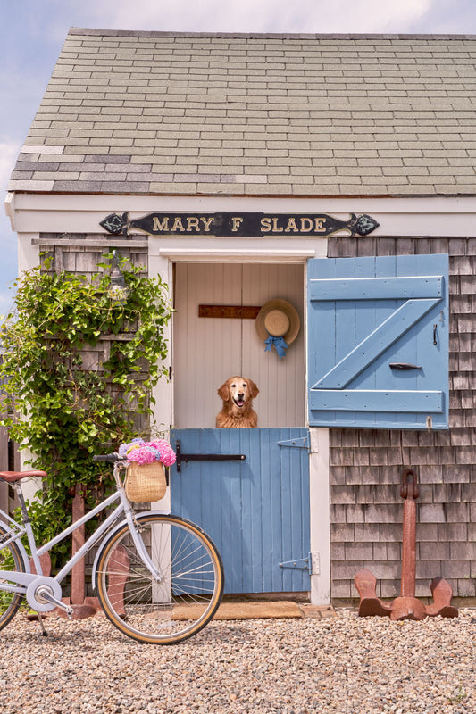 Product image for Old North Wharf Cottage, Nantucket
