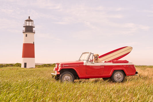 Product image for Sankaty Head Lighthouse Pup, Nantucket