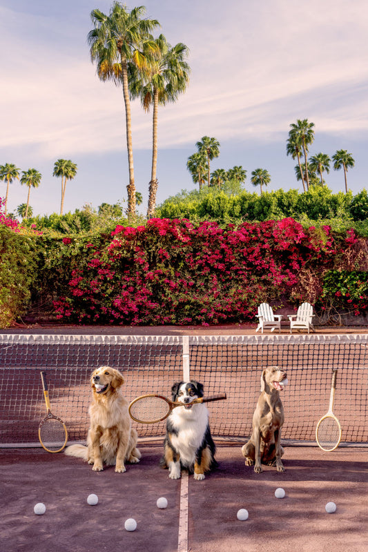 Product image for Tennis Match, Parker Palm Springs