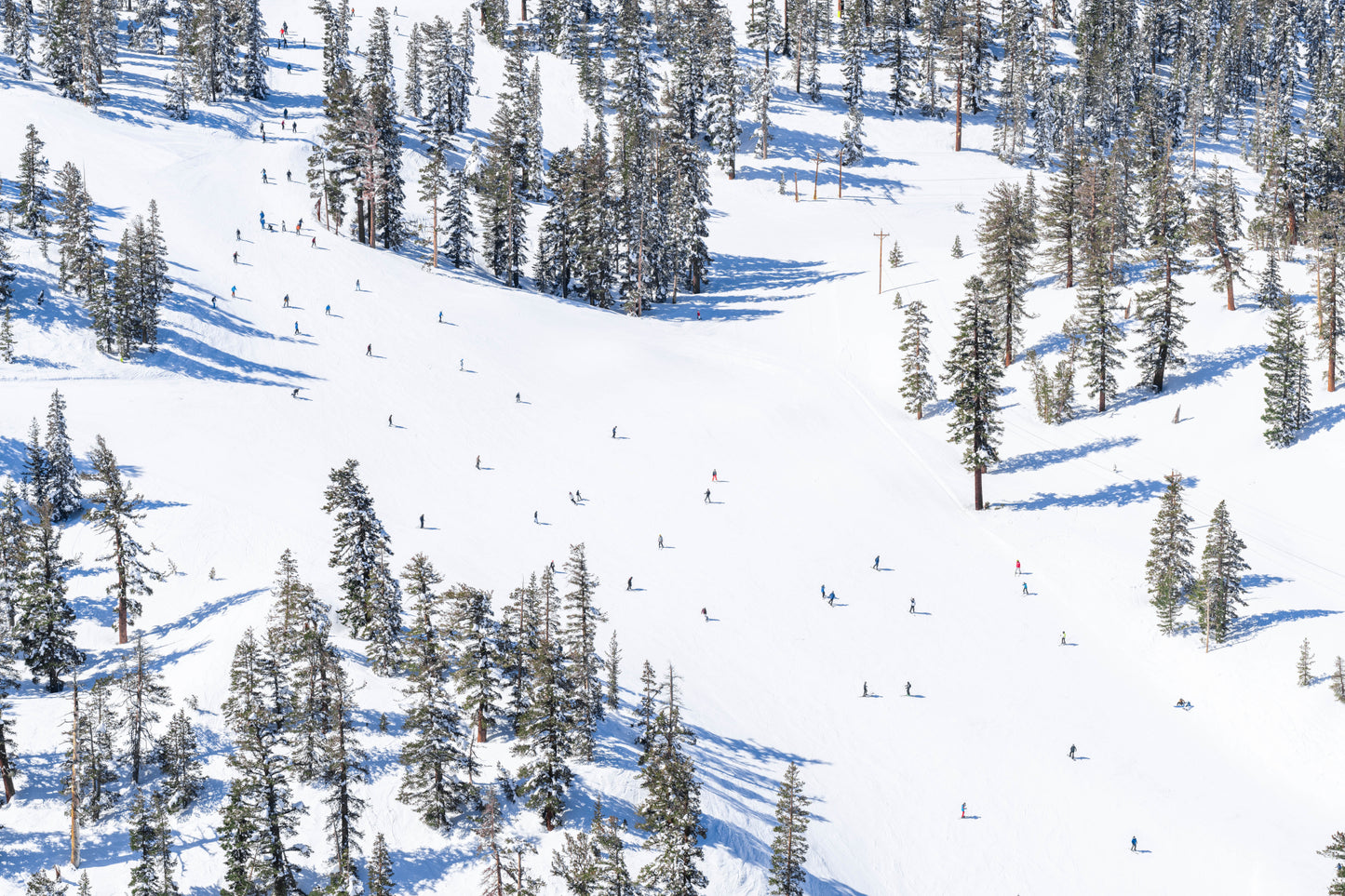 The Skiers, Lake Tahoe