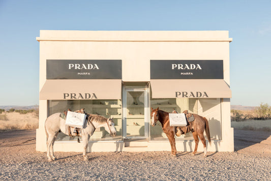 Product image for Two Horses, Prada Marfa