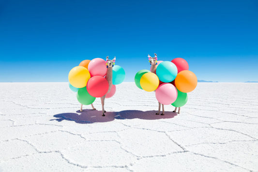 Product image for Two Llamas with Color Balloons