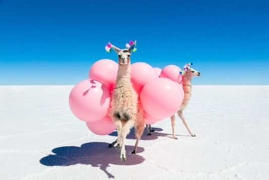 Product image for Two Llamas with Pink Balloons III